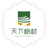 肏逼肏的好爽